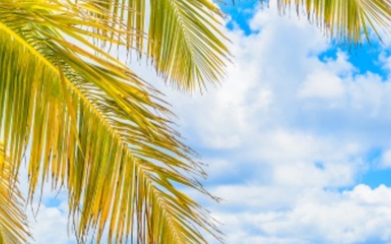 beautiful-tropical-beach-2 2